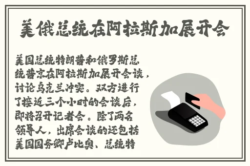 荒野大镖客大妈视频